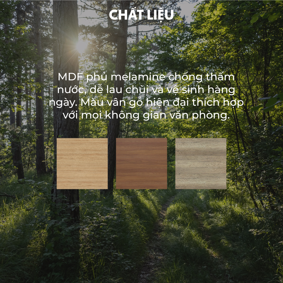 Ảnh mô tả sản phẩm - Tủ tài liệu CL-T01