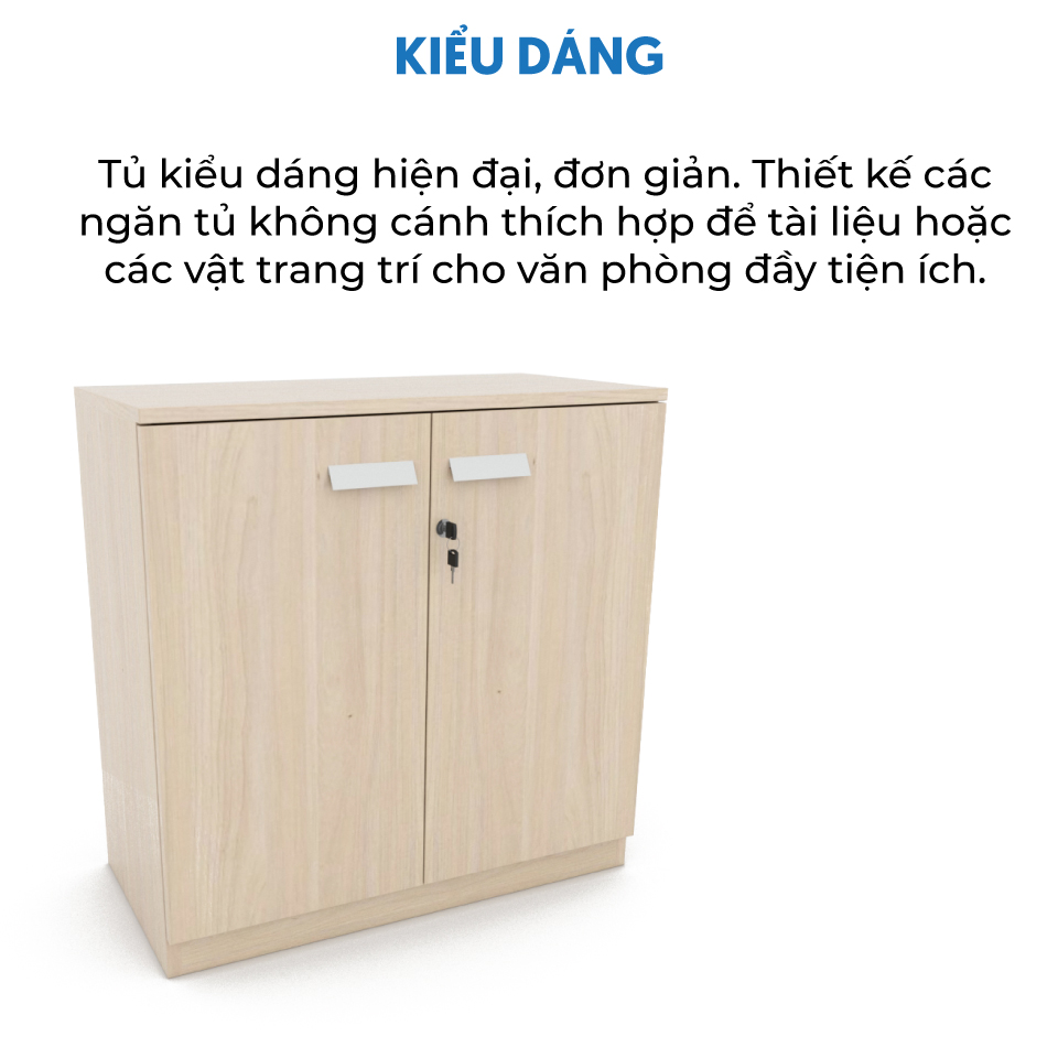 Ảnh mô tả sản phẩm - Tủ tài liệu CL-T01