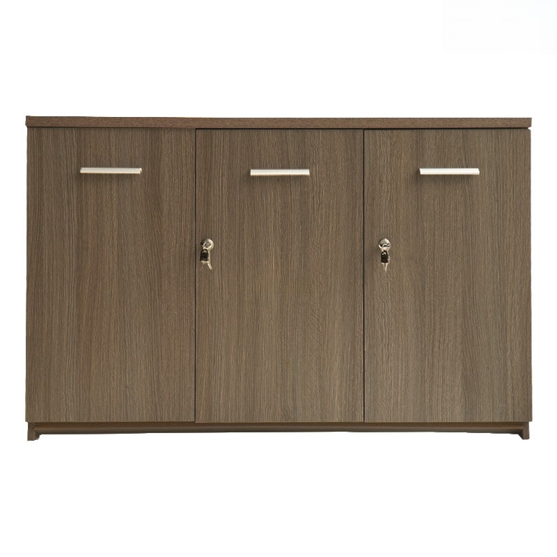 Ảnh mô tả sản phẩm - Tủ tài liệu CL-T02