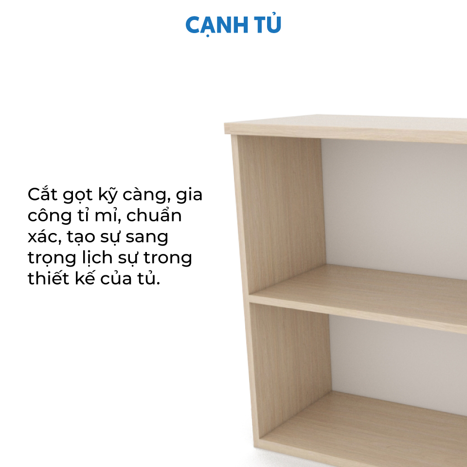 Ảnh mô tả sản phẩm - Tủ tài liệu classic CL80-02