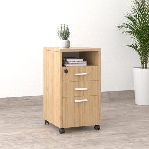 Ảnh sản phẩm Tủ phụ di động TP12-N - 2