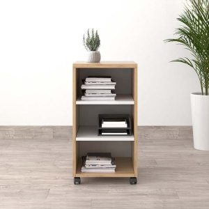 Ảnh sản phẩm Tủ phụ di động TP2-100-T - 4