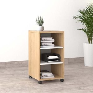 Ảnh sản phẩm Tủ phụ di động TP2-100-T - 5