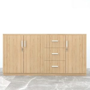 Ảnh sản phẩm Tủ tài liệu CL-T03 - 6