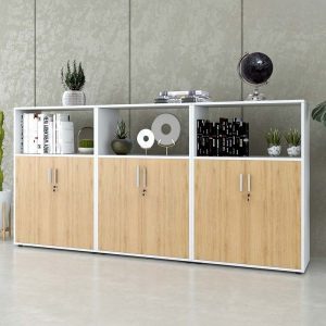 Ảnh sản phẩm Tủ tài liệu CL120-240 - 2