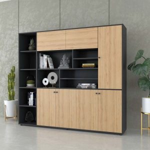 Ảnh sản phẩm Tủ tài liệu CL200-17 - 5