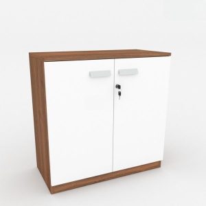 Ảnh sản phẩm Tủ tài liệu classic CL80-01T - 4