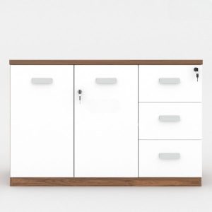 Ảnh sản phẩm Tủ tài liệu Classic CL80-03T - 2