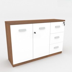 Ảnh sản phẩm Tủ tài liệu Classic CL80-03T - 4