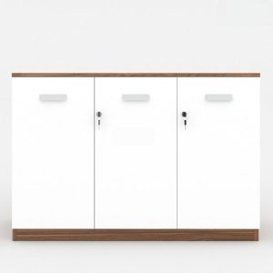 Ảnh sản phẩm Tủ tài liệu classic CL80-04T - 2