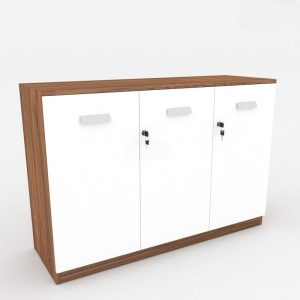 Ảnh sản phẩm Tủ tài liệu classic CL80-04T - 4