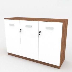Ảnh sản phẩm Tủ tài liệu classic CL80-04T - 5