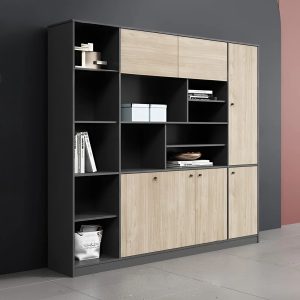 Tủ tài liệu văn phòng sếp 2m -TG 17